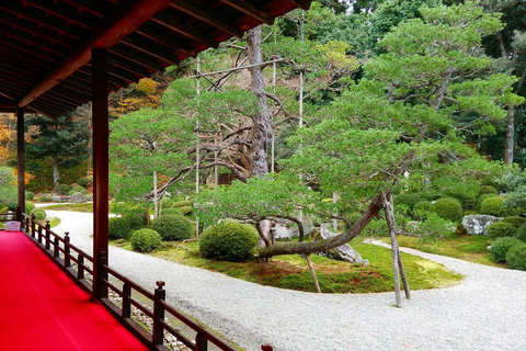 Kioto: tour privado personalizado por los jardines japoneses