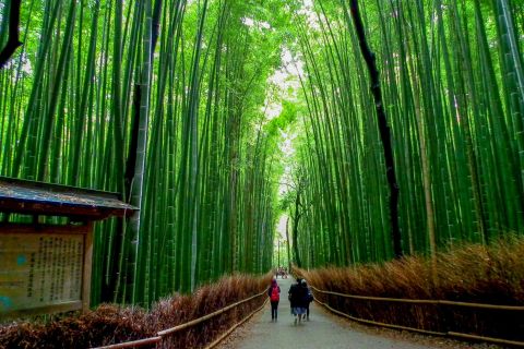 Kyoto: tour privato personalizzabile dei giardini giapponesi