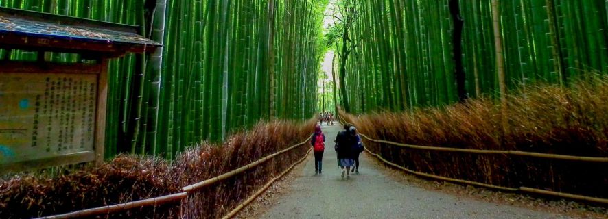 Kyoto: tour privato personalizzabile dei giardini giapponesi