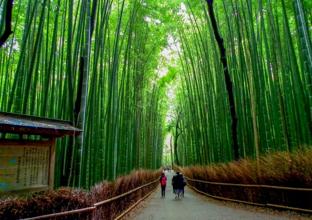 Kyoto: Japanese Gardens Private Customizable Tour