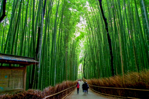 Kyoto: Japanische Gärten Private anpassbare Tour