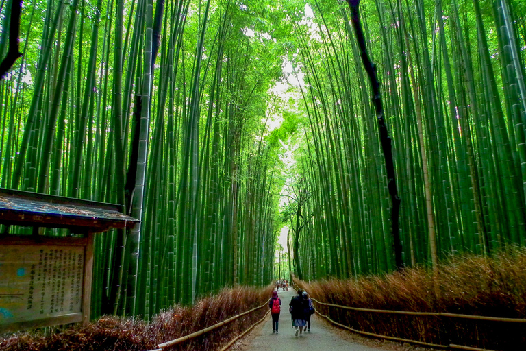 Kyoto: Excursão Personalizável Privada dos Jardins Japoneses