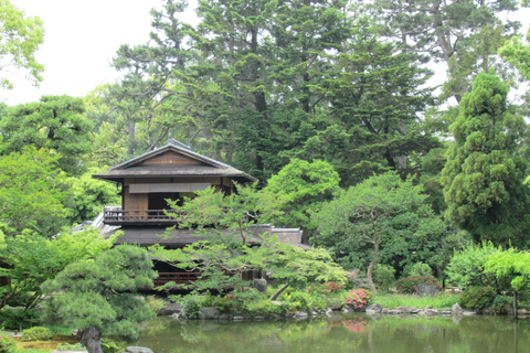 Kyoto: Japanska trädgårdar - privat anpassad rundtur