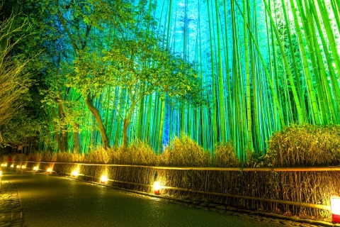 Kyoto: visite privée personnalisable des jardins japonais