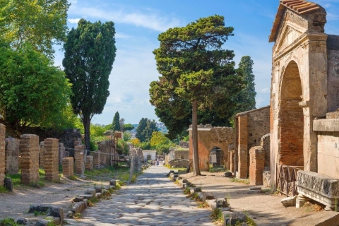 Discover Pompeii and Naples by High-Speed Train From Rome