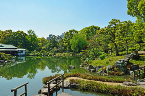 Tokyo: tour guidato privato del giardino giapponese di un&#039;intera giornata