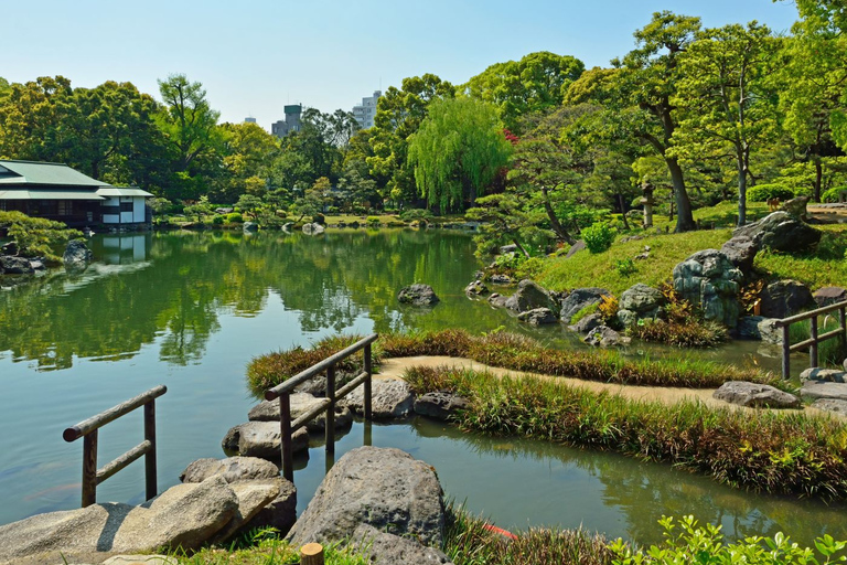 Tokyo: tour guidato privato del giardino giapponese di un&#039;intera giornata