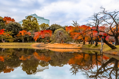 Tóquio: excursão guiada privativa de dia inteiro no jardim japonês