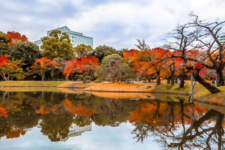 Tokio: visita guiada privada de día completo al jardín japonés