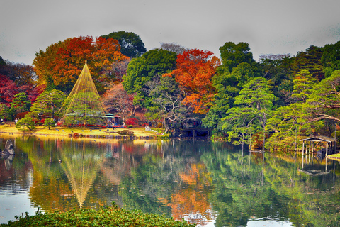 Tokyo: tour guidato privato del giardino giapponese di un&#039;intera giornata