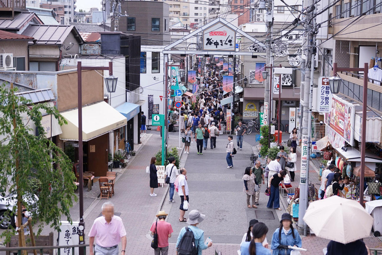 Tokyo: Privat guidad tur utanför den upptrampade vägen