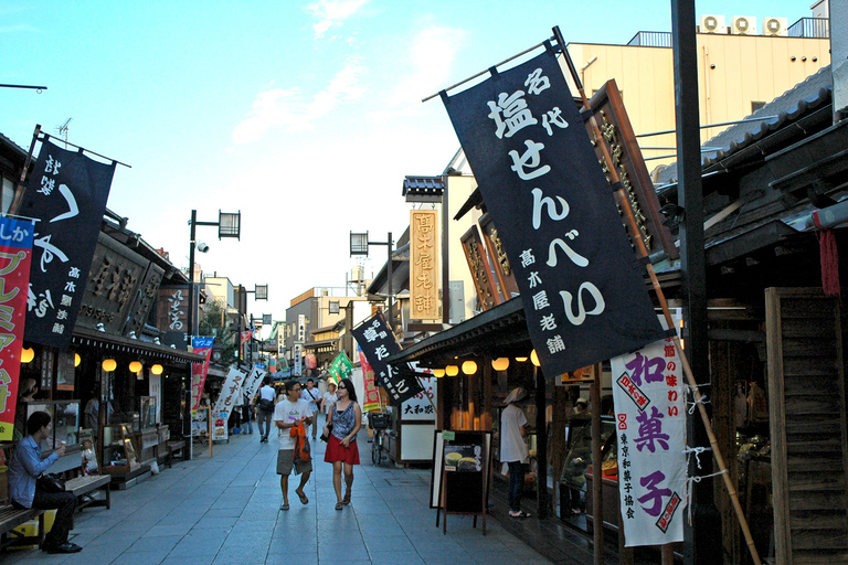 Tokyo: Off the Beaten Path Private Guided Tour