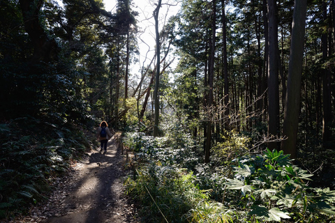 Kamakura: Daibutsu Hiking Trail Tour med lokal guide