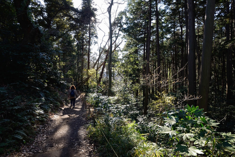 Kamakura: Daibutsu Hiking Trail Tour with Local Guide