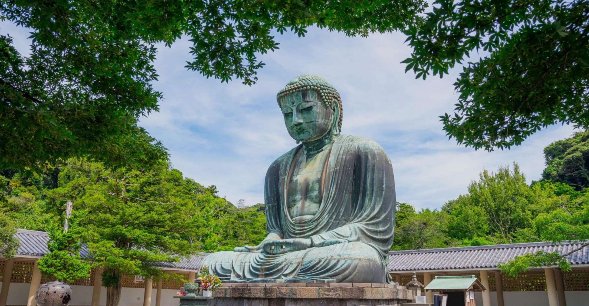 Kamakura, Daibutsu Hiking Trail Tour with Local Guide - Housity