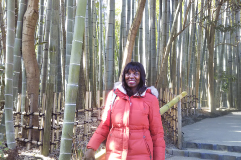 Kamakura: Daibutsu-wandelpadtour met lokale gids