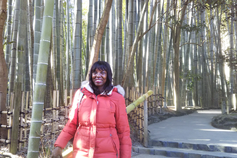 Kamakura: Daibutsu-wandelpadtour met lokale gids