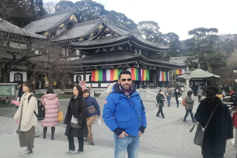 Kamakura: tour del sentiero escursionistico Daibutsu con guida locale