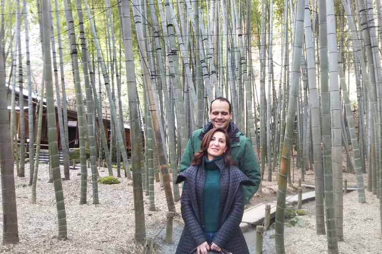 Kamakura: Daibutsu Hiking Trail Tour com guia local