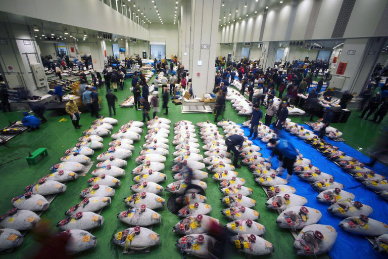 Tokio: Comida y Cultura Visita Guiada PrivadaRecorrido de 6 horas