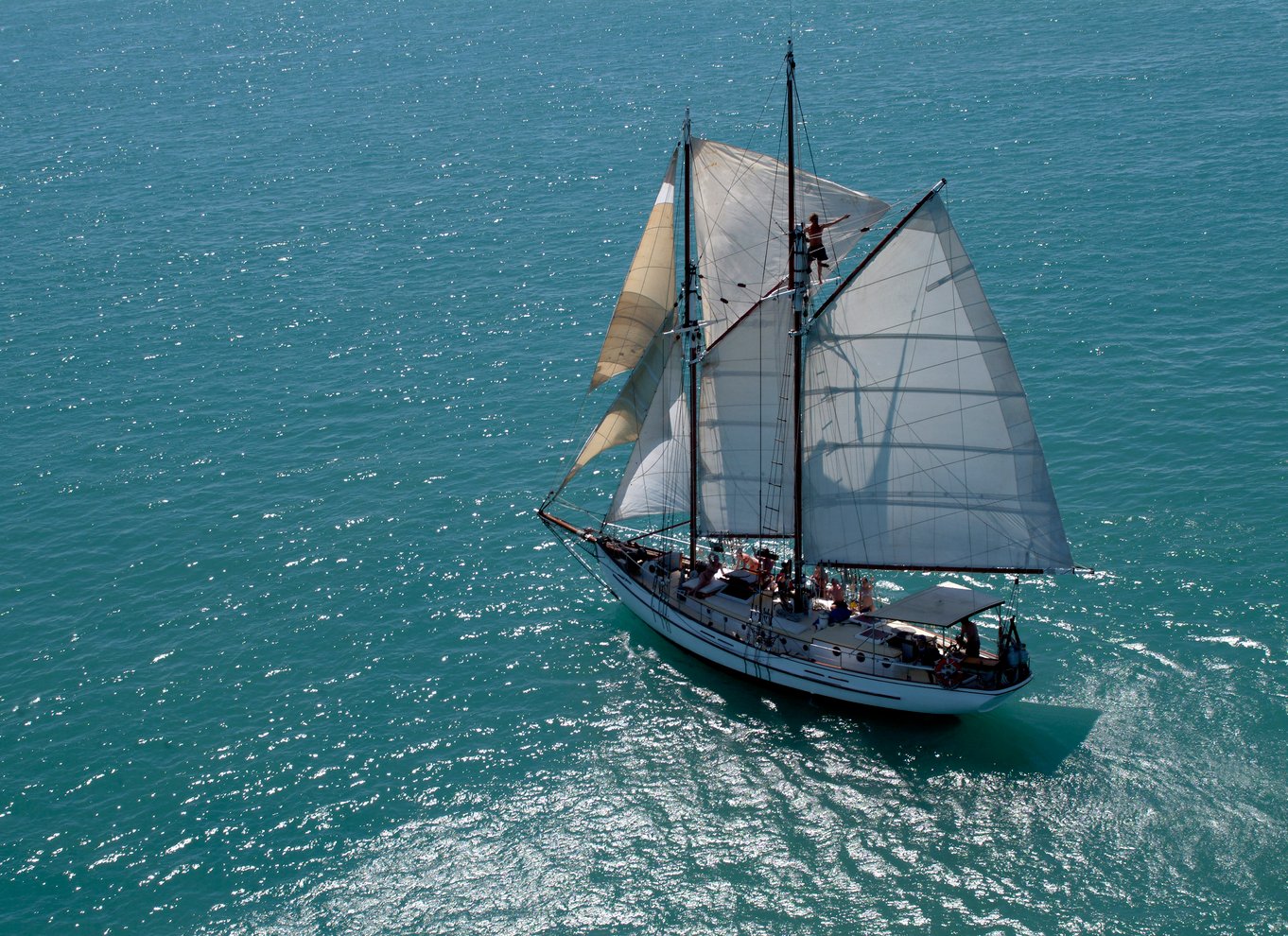 Airlie Beach: Whitehaven dagssejlads med snorkling