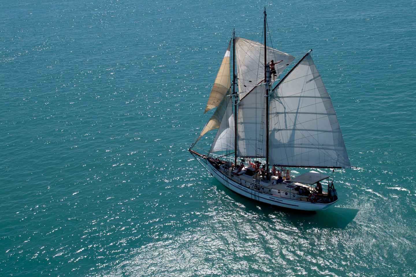 Airlie Beach: Providence Whitehaven Day Sail with Snorkeling
