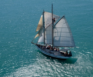 Airlie Beach: Whitehaven Day Sail with Snorkeling