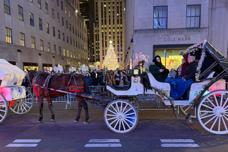 NYC: Central Park Christmas Lights Horse-Drawn Carriage Ride