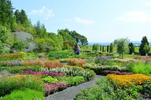 Asahikawa: Private Customized Guided Tour
