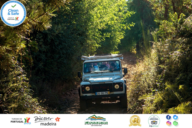 Madeira: tour de medio día por el valle de las monjas y el acantilado marinoTour con recogida desde Funchal