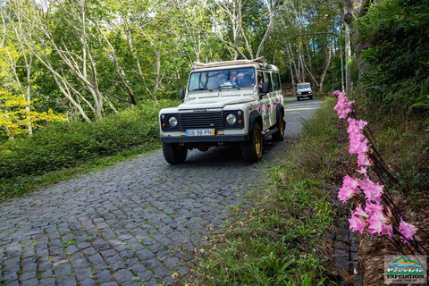 Madera: Half-Day Nun's Valley and Sea Cliff TourWycieczka z Pickup od Funchal