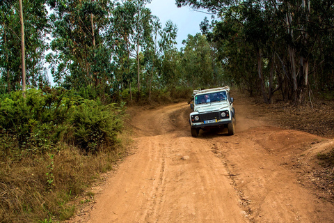 Madera: Half-Day Nun's Valley and Sea Cliff TourWycieczka z Pickup od Funchal