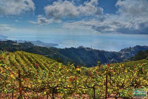 Madeira: tour de medio día por el valle de las monjas y el acantilado marinoTour con recogida desde Funchal