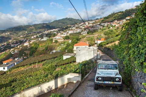 Madeira: Nonnental & Meeresklippen - HalbtagestourPrivate Tour mit Hotelabholung