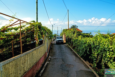 Madera: Half-Day Nun's Valley and Sea Cliff TourWycieczka z Pickup od Funchal