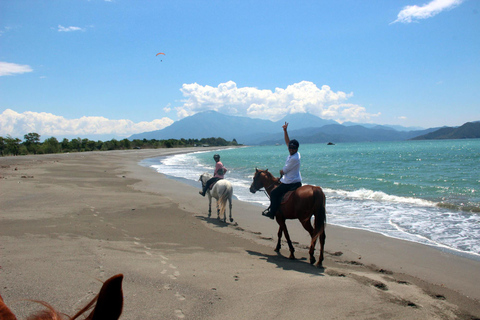 Bodrum: Horseback Riding Experience