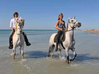 Bodrum : expérience d'équitation avec transfert depuis l'hôtel