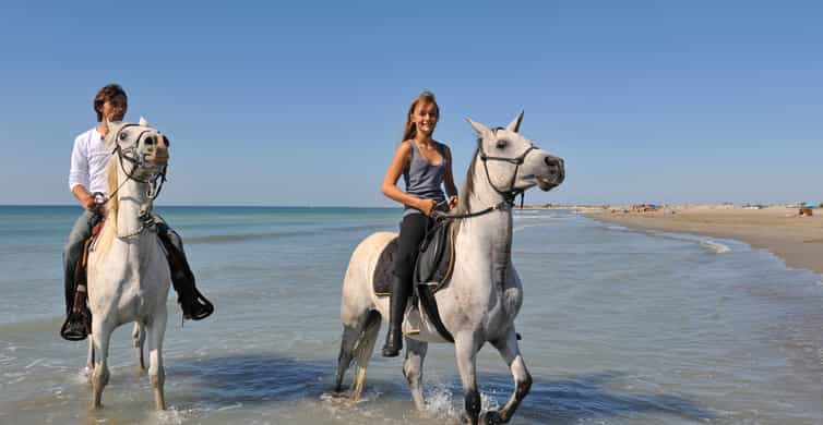 Bodrum: Horseback Riding Experience