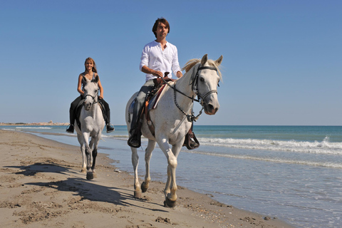 Bodrum: Horseback Riding Experience