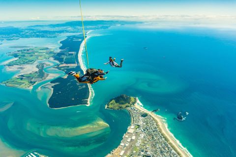 De Tauranga: saut en parachute au-dessus du mont Maunganui