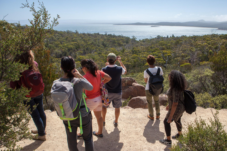 Hobart: Wineglass Bay Beach Iconic Hike