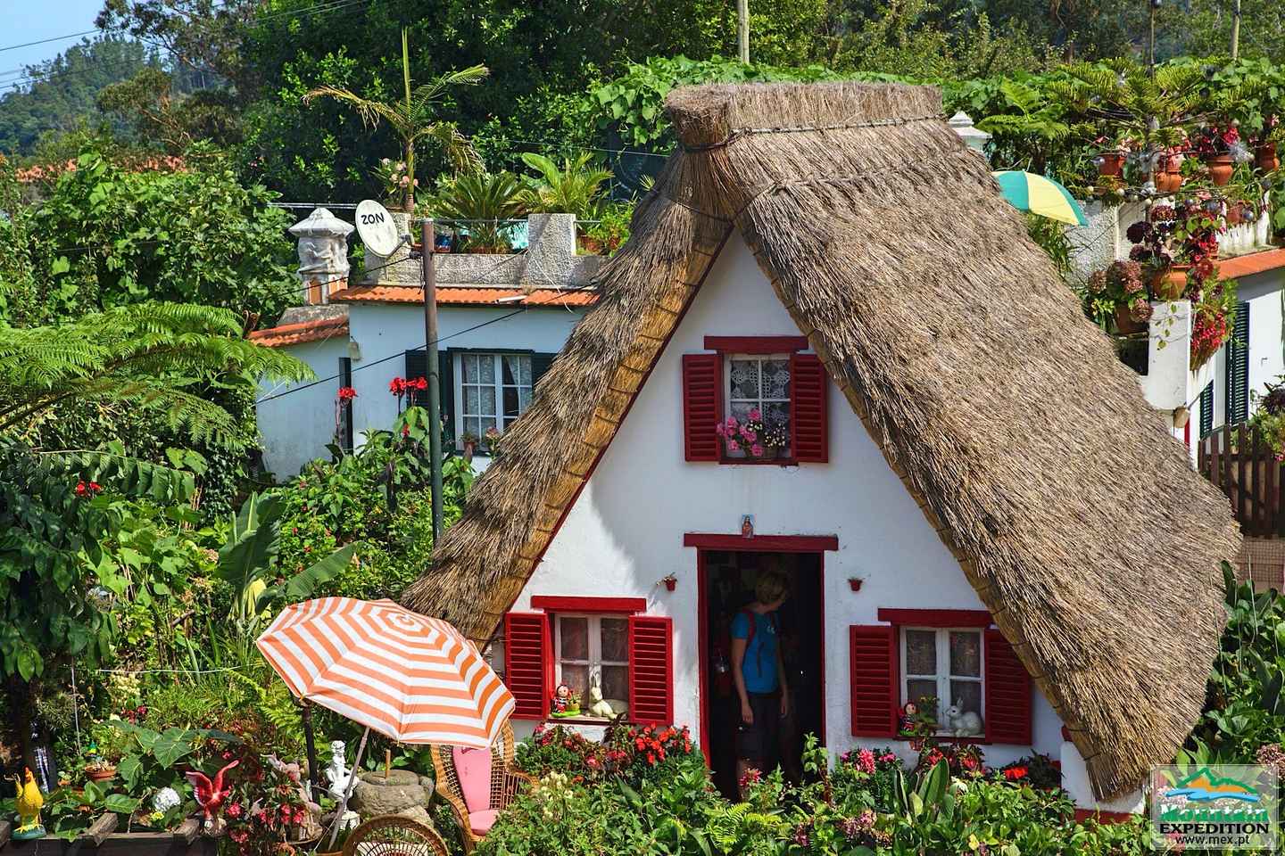 마데이라: 산타나 지프 사파리와 레바다 투어