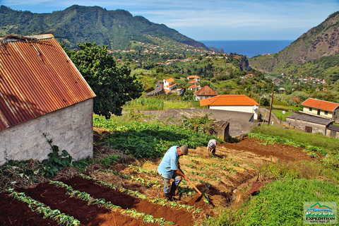 Madeira: Full-Day Jeep Tour en Levada WalkTour met Funchal Pickup