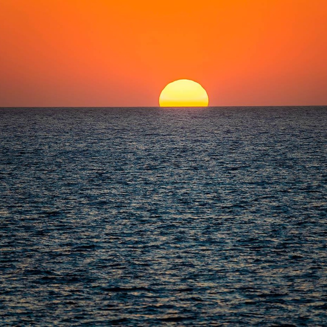 Galería de fotos para redes