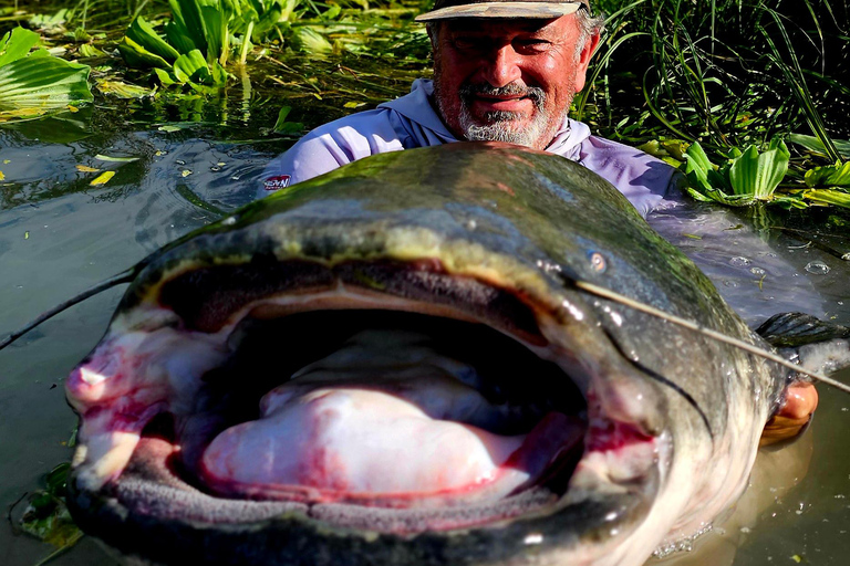 Catfish fishing in the Camargue and a boat tour of the Pont d'Avignon