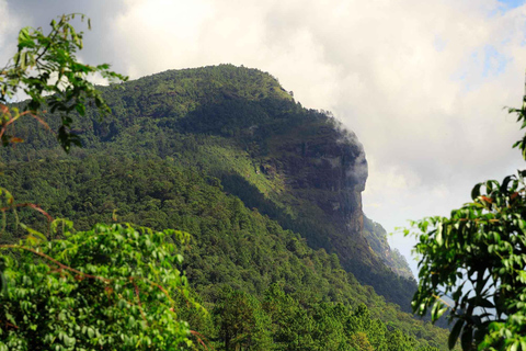 Trekking w Parku Narodowym Doi Inthanon i Pha Dok Siew Trail TrekWycieczka do Parku Narodowego Doi Inthanon i Pha Dok Siew Trail Trek