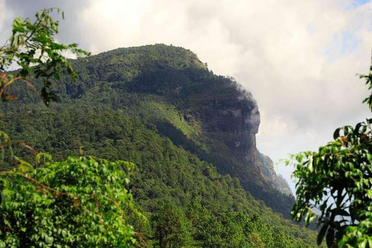 Park Narodowy Doi Inthanon i szlak turystyczny Kew Mae Pan Nature Trail