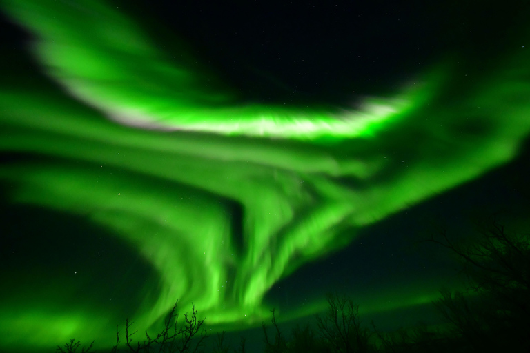 Abisko: Sami-Inspired Aurora BBQ with Aurora Chasing Abisko: Sami inspired Aurora BBQ with Aurora chasing