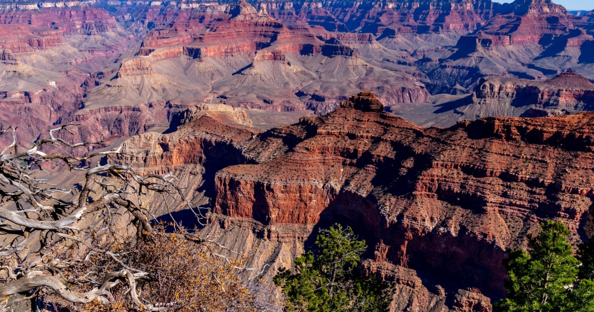 Grand Canyon Classic Sightseeing Tour Departing Flagstaff | GetYourGuide