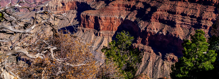 Tour classico del Grand Canyon con partenza da Flagstaff